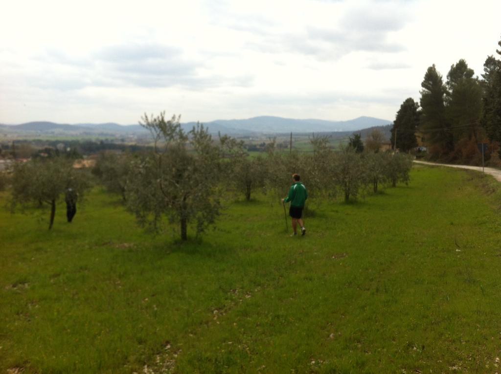 Azienda Agrituristica I Tre Casali Magione Habitación foto