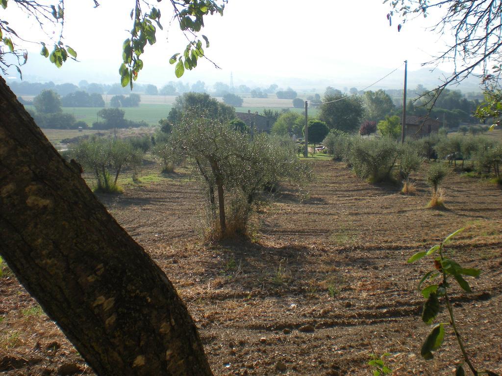 Azienda Agrituristica I Tre Casali Magione Exterior foto