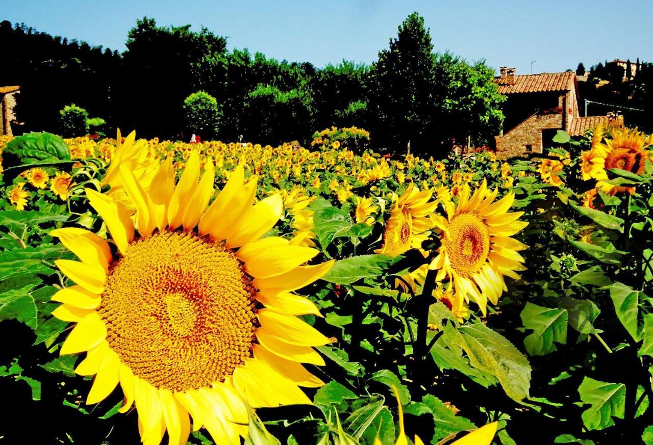 Azienda Agrituristica I Tre Casali Magione Exterior foto